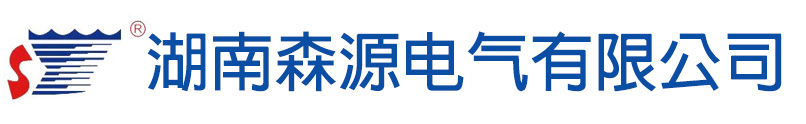 湖南森源电气有限公司
